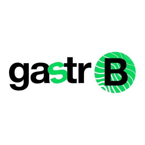 Gastro B Academy