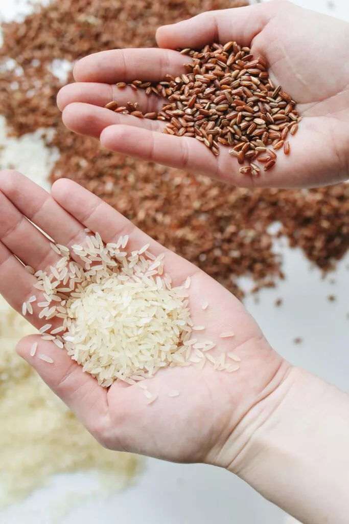 Más allá de la modas: comida real, equilibrada y con sentido común